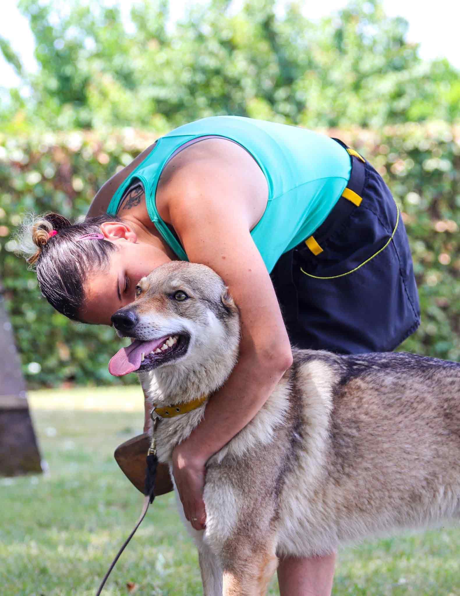 Allevamento cane lupo cecoslovacco milano lombardia